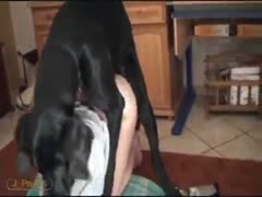 The skinny redhead, who had never been photographed before, is drilled and mounted by her obscene dog.